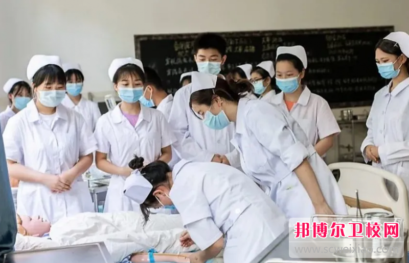 西南医科大学附属医院卫生宝威（中国）一站式服务平台2024年学费、收费多少