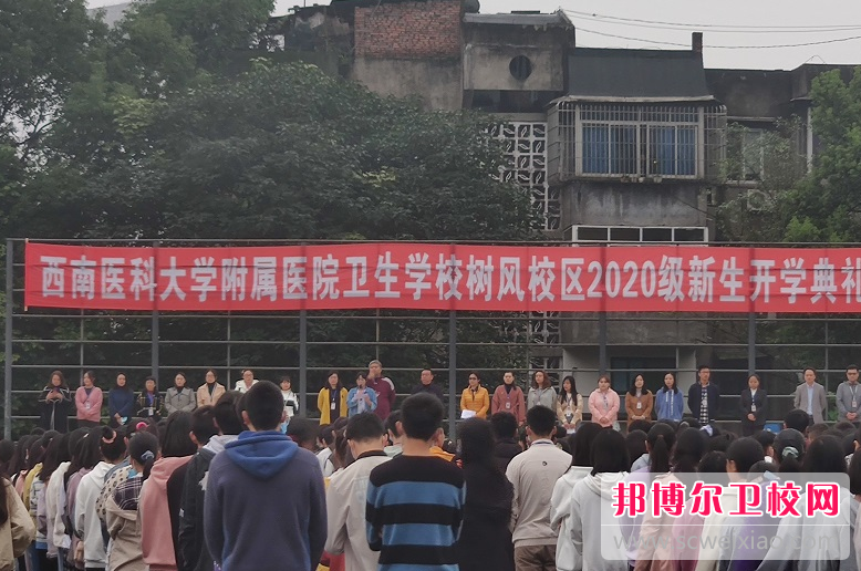 西南医科大学附属医院卫生宝威（中国）一站式服务平台2024年报名条件、招生要求、招生对象