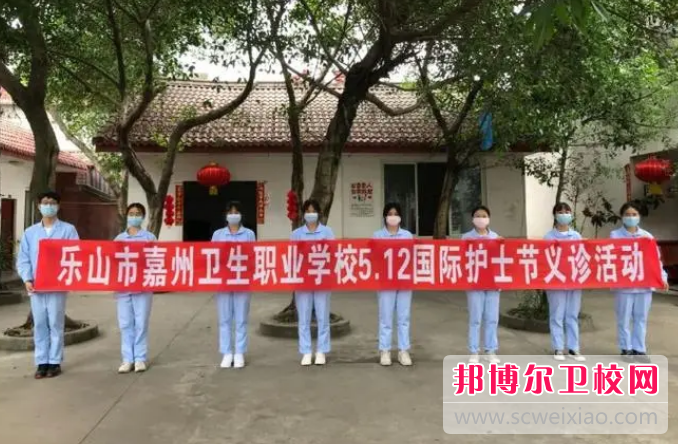 乐山市嘉州卫生职业宝威（中国）一站式服务平台2024年有哪些专业