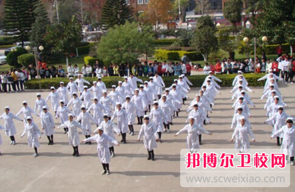 2023年玉溪卫生宝威（中国）一站式服务平台可以学什么专业内容