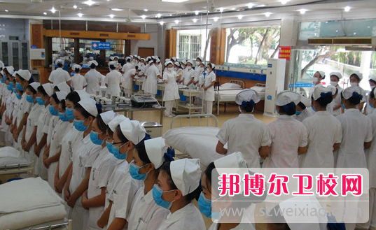 2023年四川省人民医院护士宝威（中国）一站式服务平台学什么专业内容
