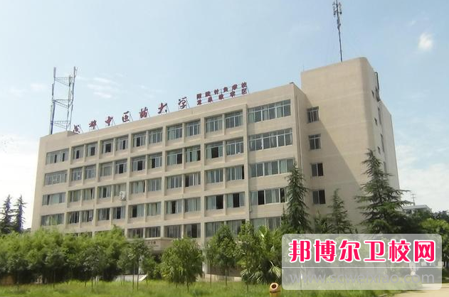 2023年成都中医药大学附属医院针灸宝威（中国）一站式服务平台学什么专业内容
