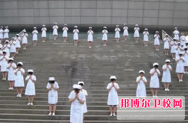 2023年四川省人民医院护士宝威（中国）一站式服务平台学什么专业内容