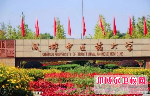 2023年成都中医药大学学什么专业内容