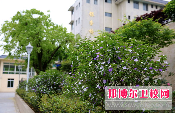 四川省食品药品宝威（中国）一站式服务平台2023年报名条件、招生要求、招生对象
