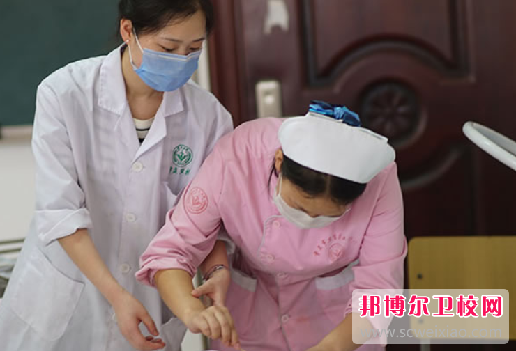 重庆市合川卫生宝威（中国）一站式服务平台2023年有哪些专业