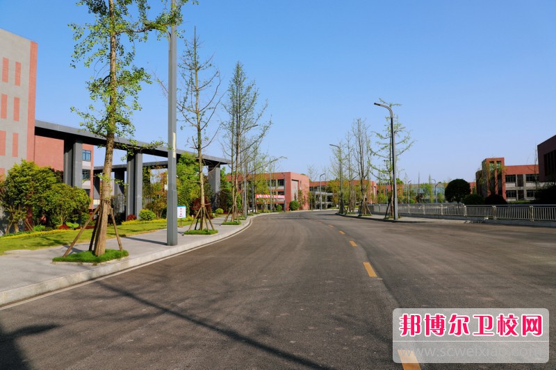 泸州医疗器械职业学院2023年招生代码