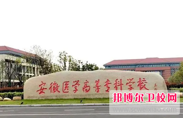 2023年安徽的卫校有哪些