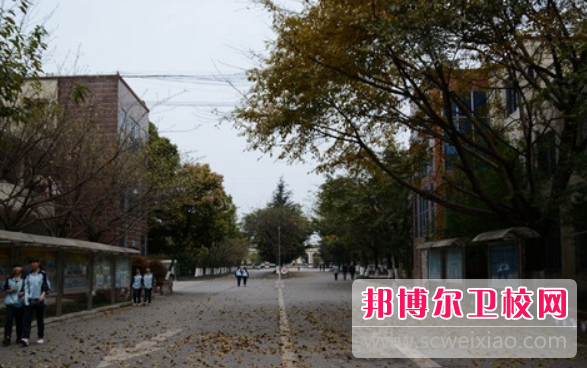 2023年龙泉的卫校有哪些
