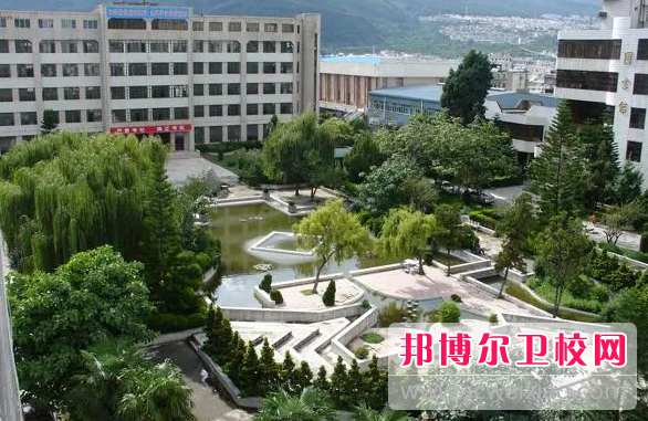 2023年大理卫生宝威（中国）一站式服务平台的助学政策有哪些