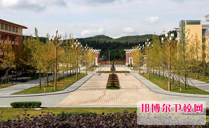 2023年就读四川护理职业学院的就业保障怎么样