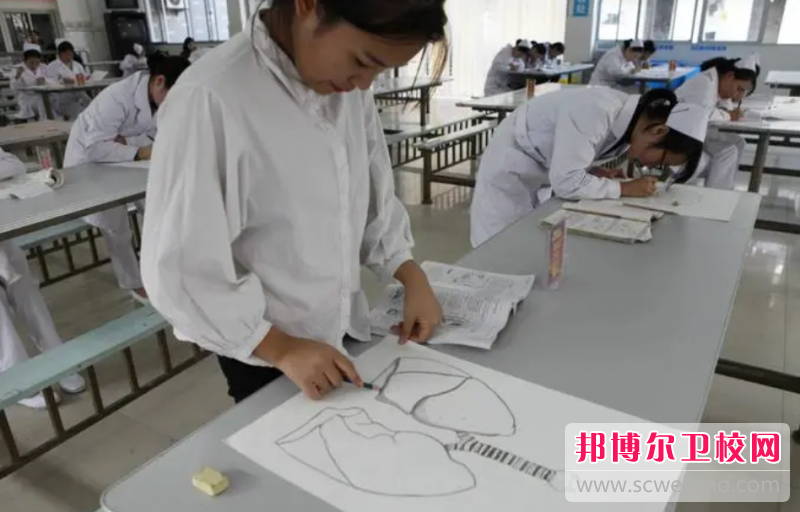 2023年丽水护士宝威（中国）一站式服务平台报名条件、招生要求、招生对象