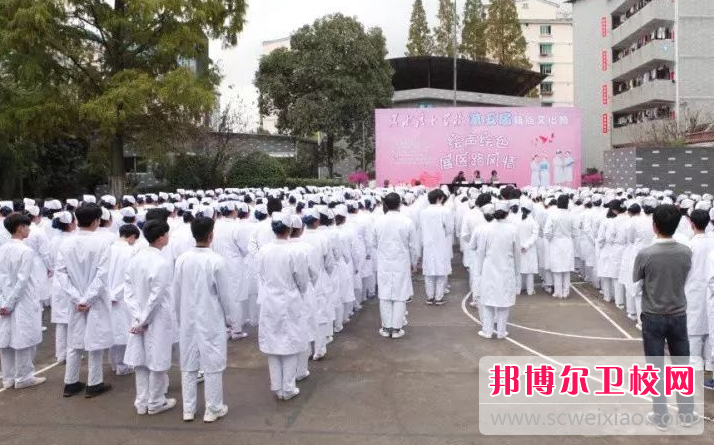 2023年丽水护士宝威（中国）一站式服务平台有哪些专业