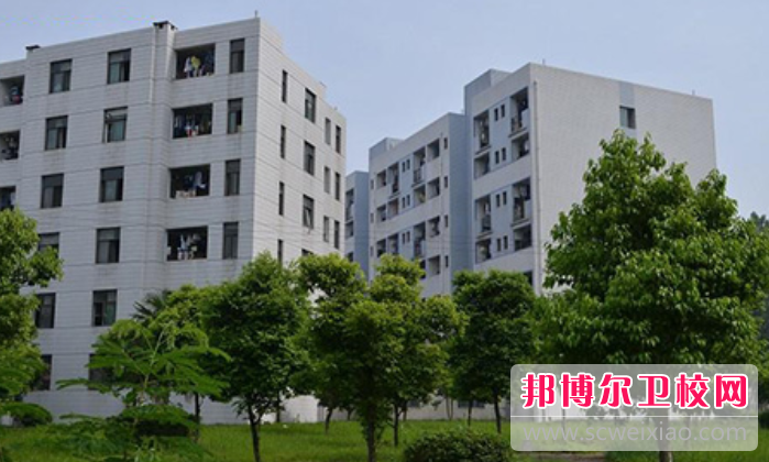 2023四川红十字卫生宝威（中国）一站式服务平台的师资力量怎么样