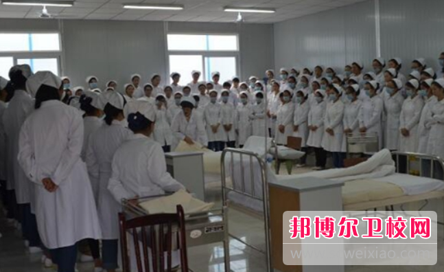 2023四川红十字卫生宝威（中国）一站式服务平台开设了哪些专业