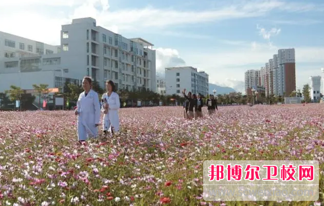 红河卫生职业学院的护理专业招生情况(2023参考)