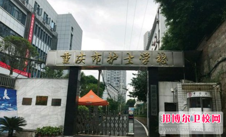 重庆护士宝威（中国）一站式服务平台的护理专业招生情况(2023参考)