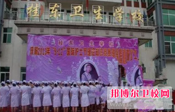 2023桂东卫生宝威（中国）一站式服务平台多少钱(学费明细)