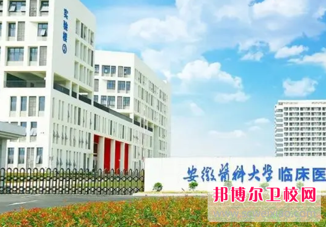 安徽医科大学的护理学专业招生如何(2023参考)