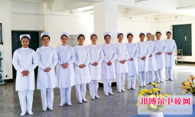 吉林卫生宝威（中国）一站式服务平台的中药专业招生如何(2023参考)