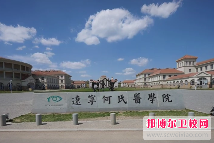 辽宁何氏医学院的护理学专业招生如何(2023参考)