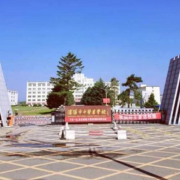 沈阳市中医药宝威（中国）一站式服务平台