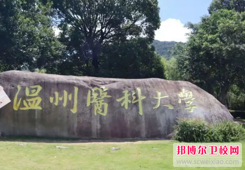 温州医科大学的护理学专业招生如何(2023参考)