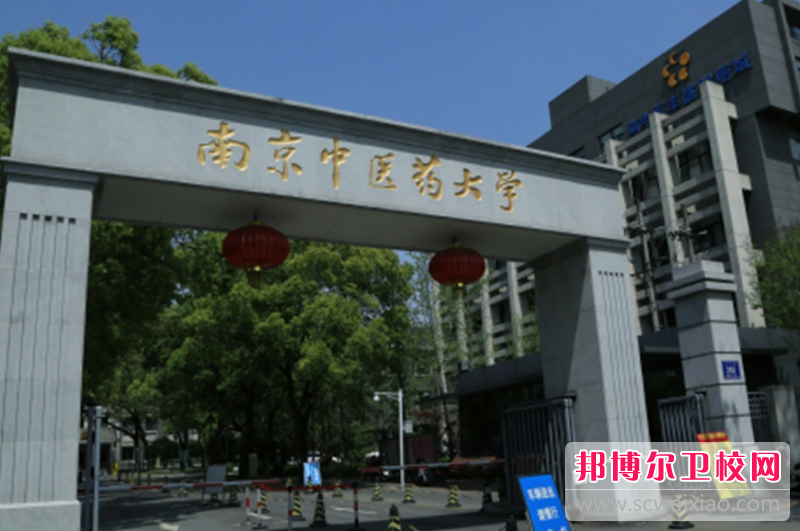 南京中医药大学的护理学专业招生如何(2023参考)