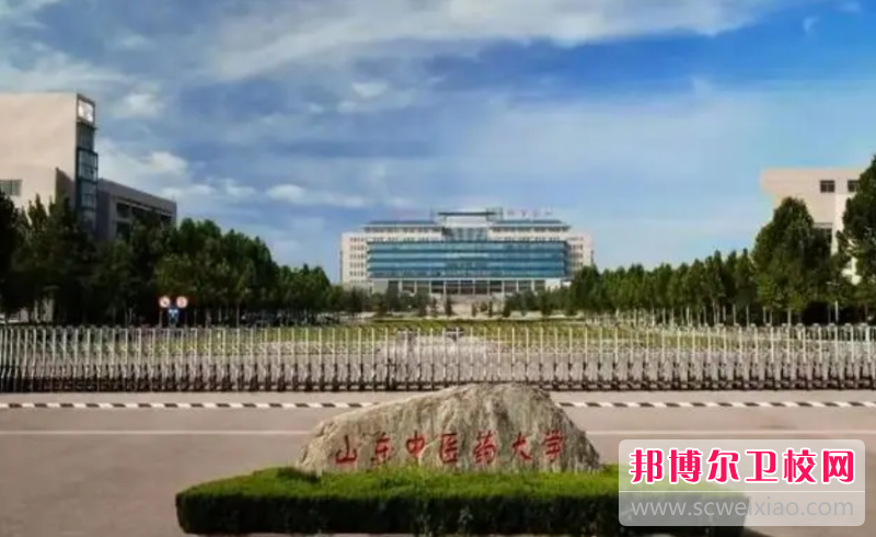 山东中医药大学的护理学专业招生如何(2023参考)