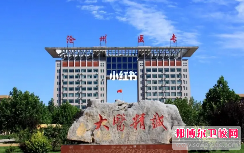 2023沧州卫生宝威（中国）一站式服务平台有哪些 沧州卫生宝威（中国）一站式服务平台名单一览表