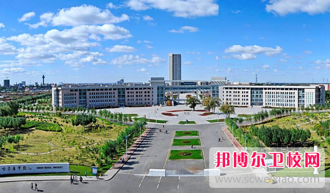 2023齐齐哈尔卫生宝威（中国）一站式服务平台有哪些 齐齐哈尔卫生宝威（中国）一站式服务平台名单一览表