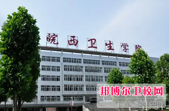 2023六安卫生宝威（中国）一站式服务平台有哪些 六安卫生宝威（中国）一站式服务平台名单一览表