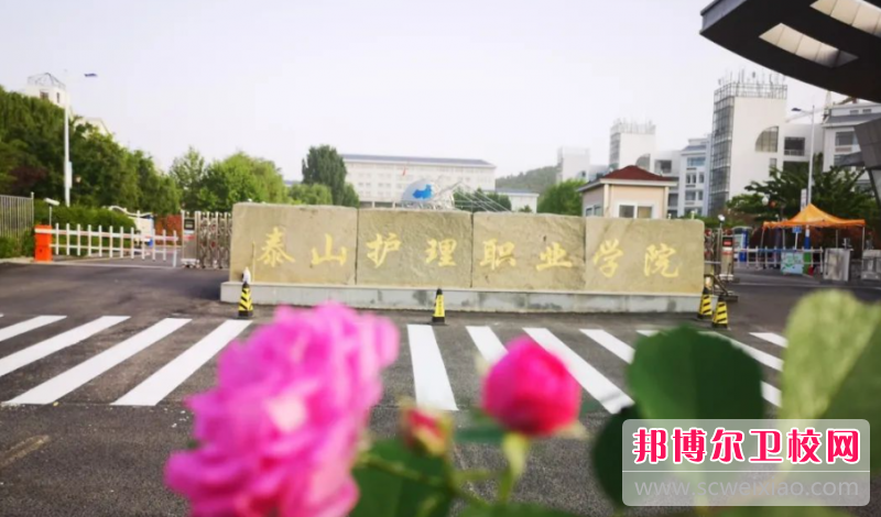 2023泰安卫生宝威（中国）一站式服务平台有哪些 泰安卫生宝威（中国）一站式服务平台名单一览表