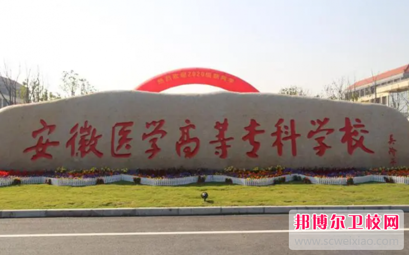 2023安徽排名前三的卫生宝威（中国）一站式服务平台名单