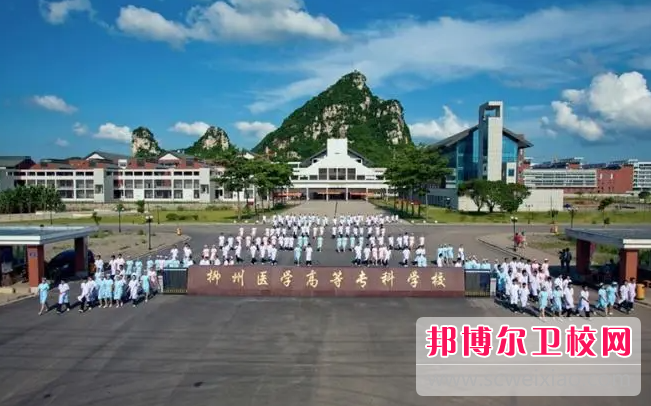 2023柳州卫生宝威（中国）一站式服务平台有哪些 柳州卫生宝威（中国）一站式服务平台名单一览表