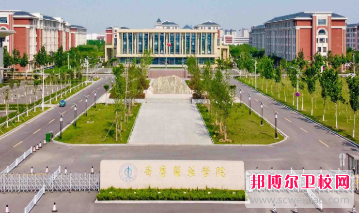 2023齐鲁医药学院招生简章