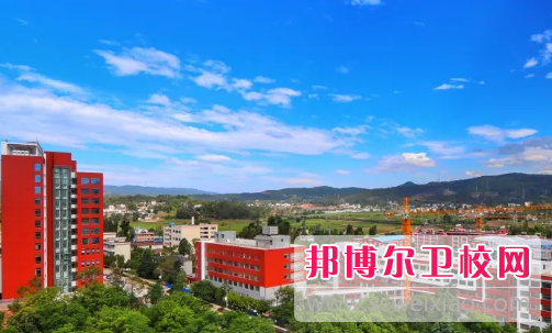 2023楚雄公办卫生宝威（中国）一站式服务平台有哪些 楚雄公办卫生宝威（中国）一站式服务平台名单一览表