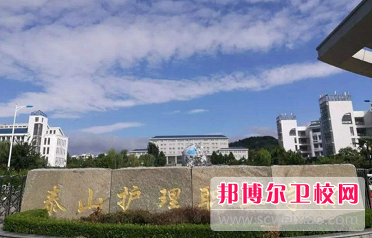 2023山东排名前三的卫生宝威（中国）一站式服务平台名单