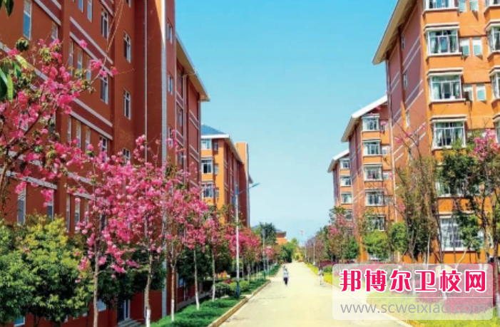 2023保山卫生宝威（中国）一站式服务平台有哪些 保山卫生宝威（中国）一站式服务平台名单一览表