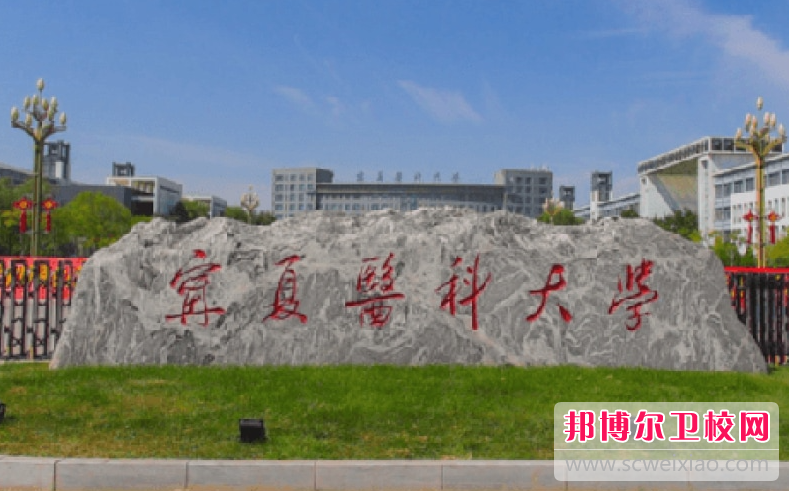 2023宁夏公办卫生宝威（中国）一站式服务平台有哪些 宁夏公办卫生宝威（中国）一站式服务平台名单一览表