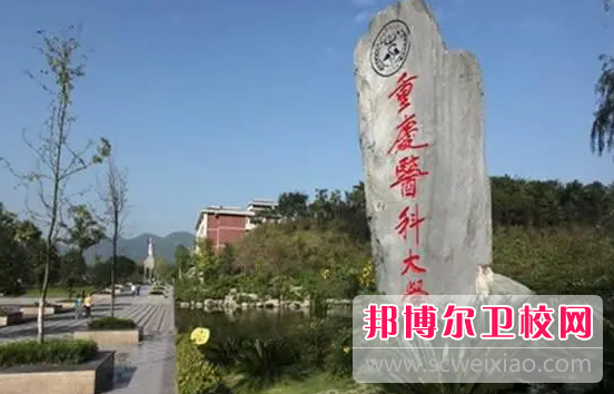2023重庆医科大学护理学院有哪些专业 重庆医科大学护理学院开设的专业一览表