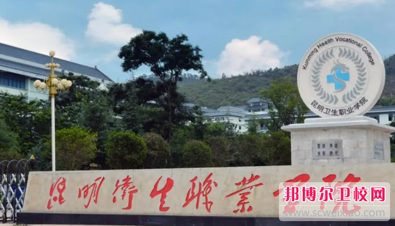 2023昆明民办卫生宝威（中国）一站式服务平台有哪些 昆明民办卫生宝威（中国）一站式服务平台名单一览表