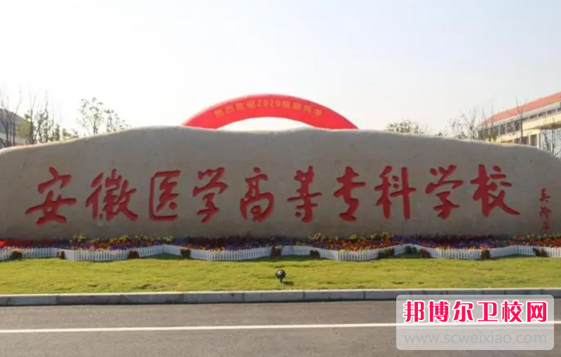 2023合肥排名前三的卫生宝威（中国）一站式服务平台名单
