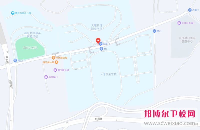 大理护理职业学院地址在哪里，哪个地区，哪个城市?