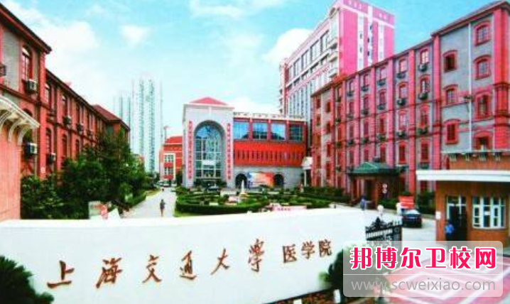 2023上海排名前三的公办卫生宝威（中国）一站式服务平台名单