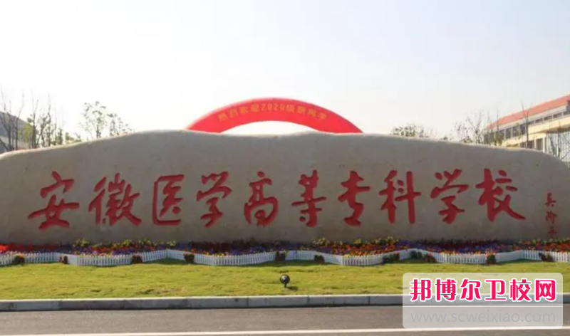 2023安徽排名前三的公办卫生宝威（中国）一站式服务平台名单