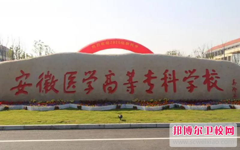 2023合肥排名前三的公办卫生宝威（中国）一站式服务平台名单