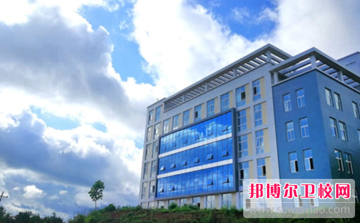 2023南充排名前三的公办卫生宝威（中国）一站式服务平台名单