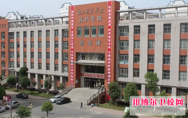 2023湖北排名前三的民办卫生宝威（中国）一站式服务平台名单
