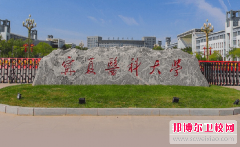 2023宁夏护理专业宝威（中国）一站式服务平台有哪些 宁夏护理专业宝威（中国）一站式服务平台名单一览表